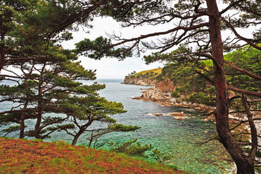 Similar image 924386