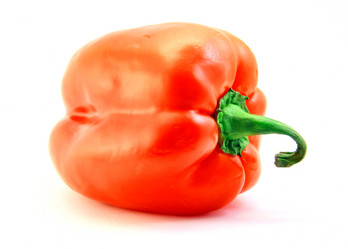 Similar image 924423