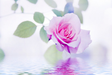 Similar image 924501