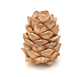 Similar image 924521