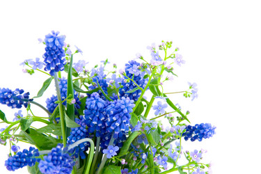 Similar image 924537