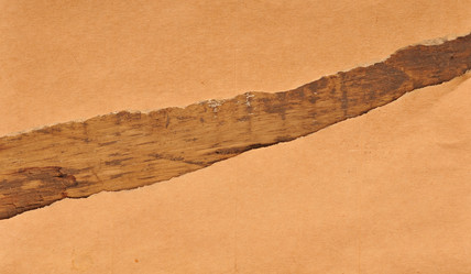 Similar image 924540