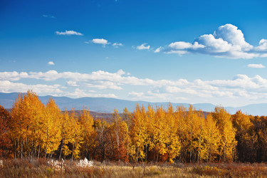 Similar image 924554