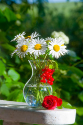 Similar image 924562