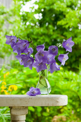 Similar image 924566