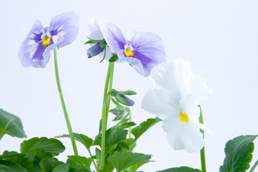 Similar image 924579