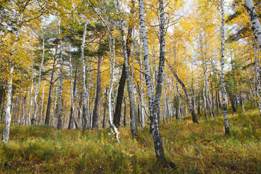 Similar image 924584