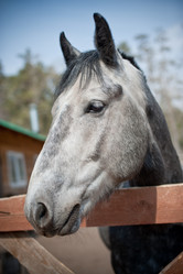 Similar image 924598