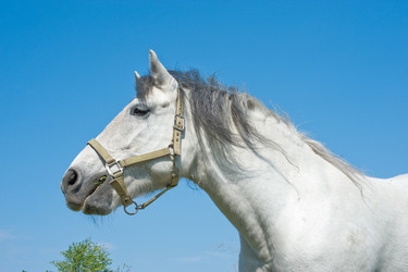 Similar image 924599