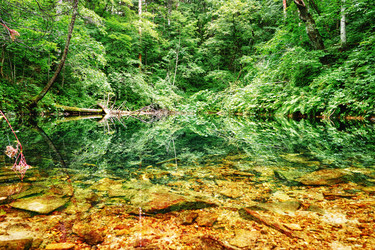 Similar image 924600