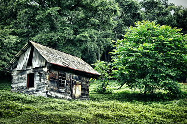 Similar image 924609