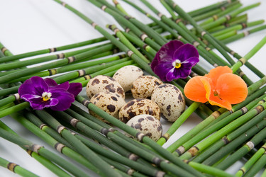 Similar image 924669