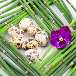 Similar image 924670