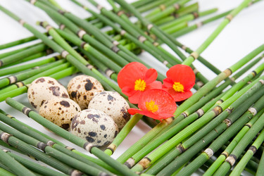 Similar image 924686