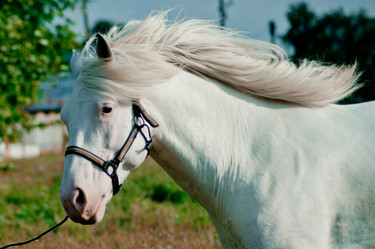 Similar image 924692