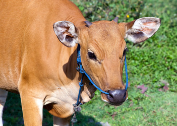 Similar image 924718