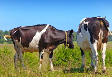 Similar image 924722