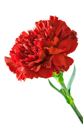 Similar image 924723