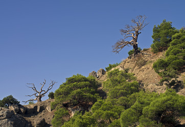 Similar image 924808