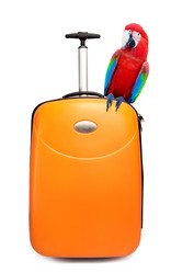 Similar image 925003