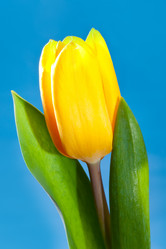 Similar image 925007