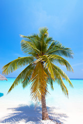 Similar image 925017