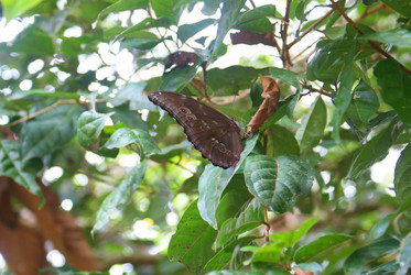 Similar image 925062