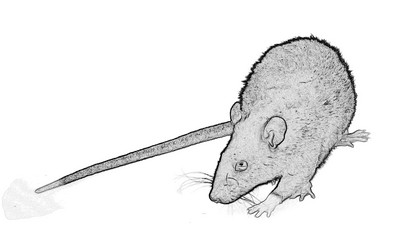 Similar image 925095