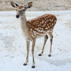 Similar image 925142