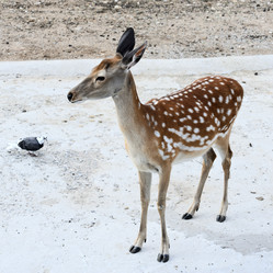 Similar image 925145