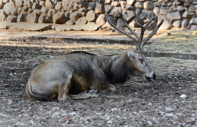 Similar image 925166