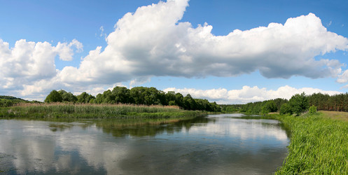 Similar image 925194