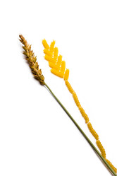 Similar image 925210