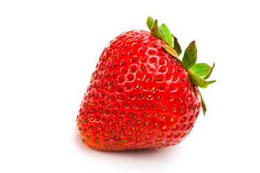 Similar image 925246