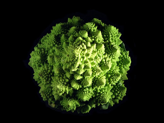 Similar image 925257