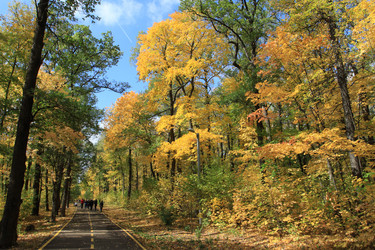 Similar image 925264