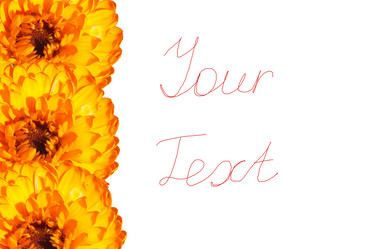 Similar image 925273