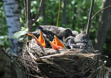 Similar image 925404