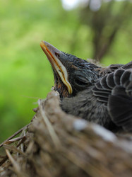 Similar image 925406