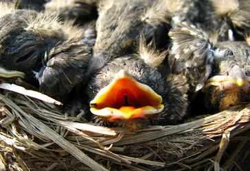 Similar image 925412