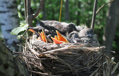 Similar image 925415