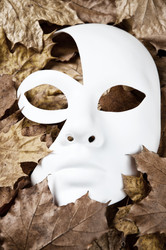 Similar image 925418