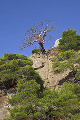 Similar image 925479