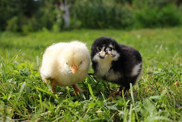 Similar image 925485