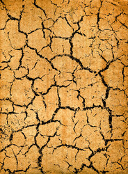 Similar image 925512