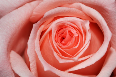 Similar image 925553