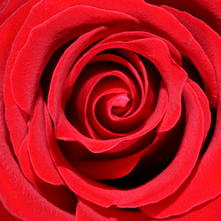 Similar image 925556