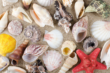 Similar image 925576