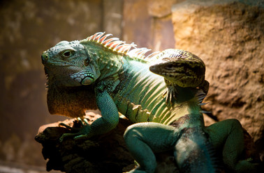 Similar image 925654