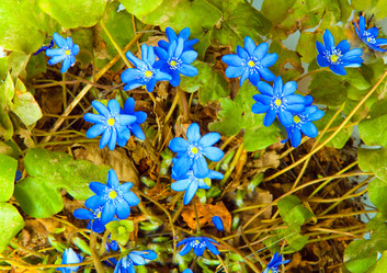 Similar image 925725